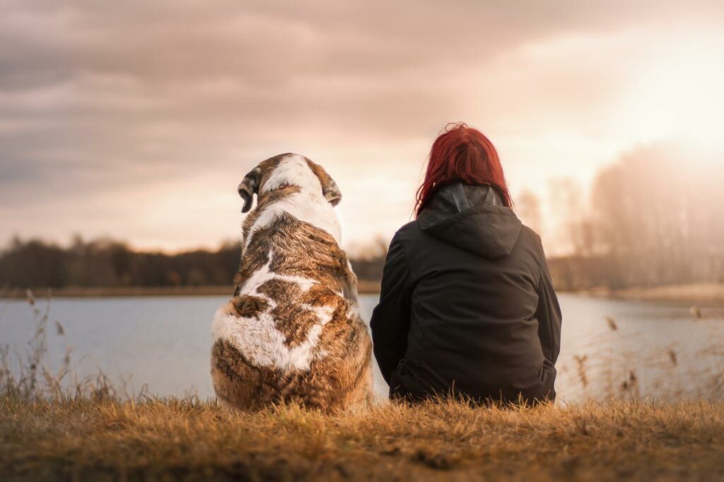 Hund und Frauchen sitzen am Wasser Herbstallergie-Saison für Ihren Hund Darauf sollten Sie achten