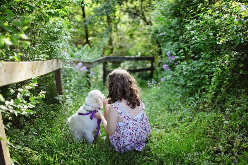 kleiner Hund und kleines Mädchen im Sommer Hund vor der Sommersonne schützen So klappt es